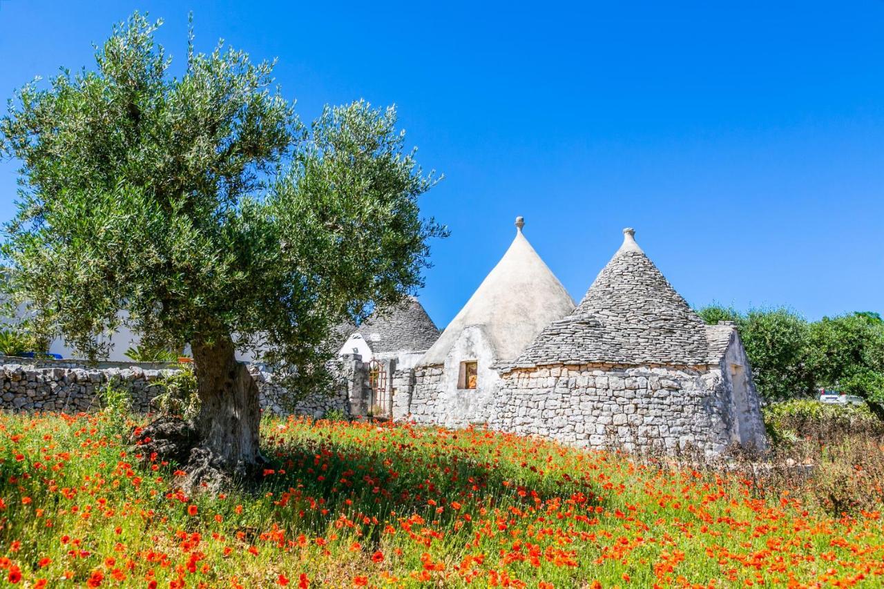 Domus Otium Ostuni - Tiny House Διαμέρισμα Εξωτερικό φωτογραφία
